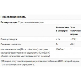 SOLARAY Mastic Gum Extract 500 мг (45 капс)